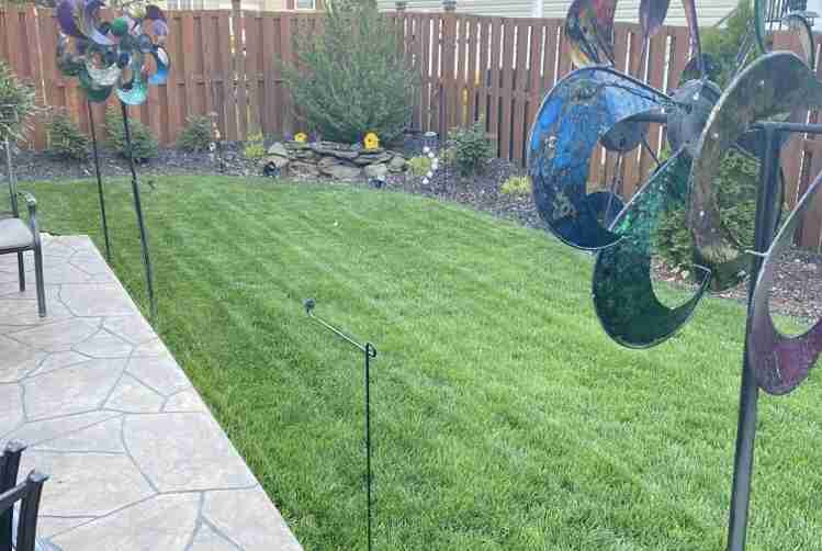 Cut Lawn In Whitby